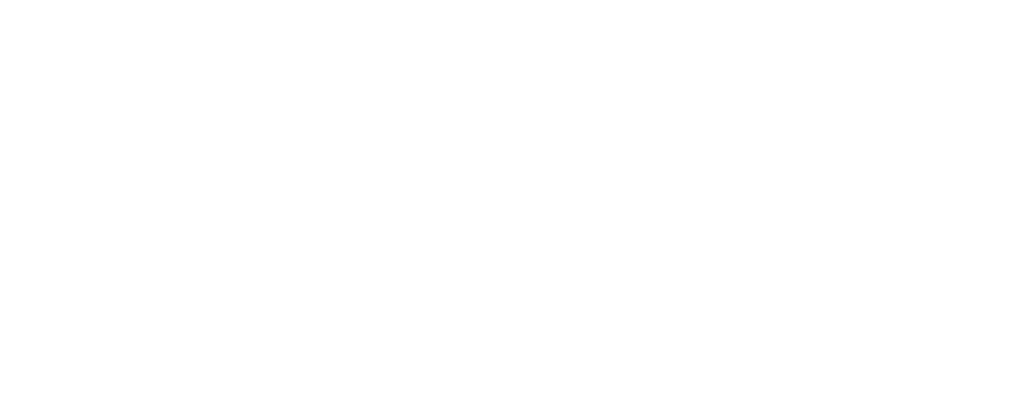 logo_brains