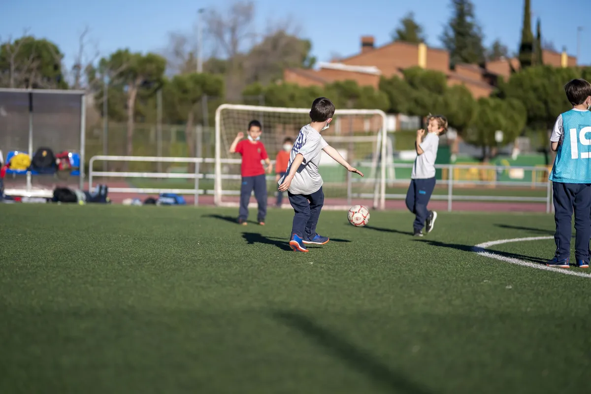 Colegio Brains La Moraleja — instalaciones deportivas